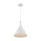 Nuvo Fixture, Pendant, 1-Light, Incandescent, 100W, 120V, A19, Medium Base, Length: 12.00 60/7138 - alternate 2